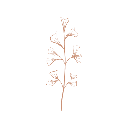 mh-bilanz-icon-pflanze-buchhaltunglohnverrechnung
